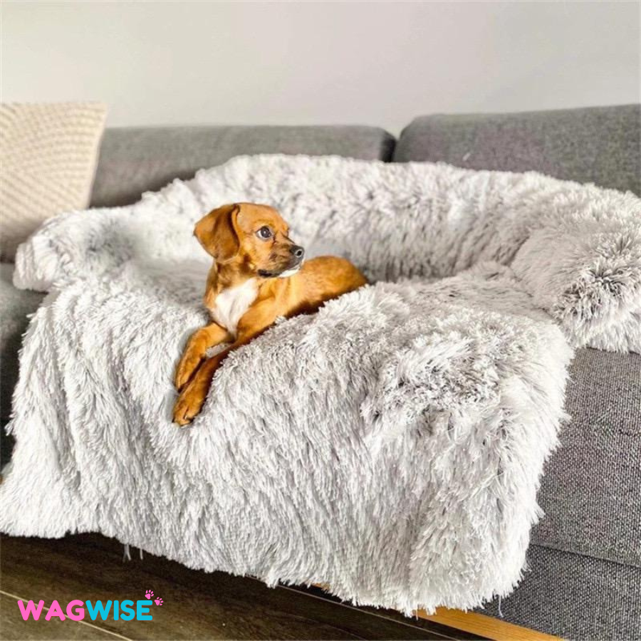 PawProtect - Haustier Sofaschutz - WagWise