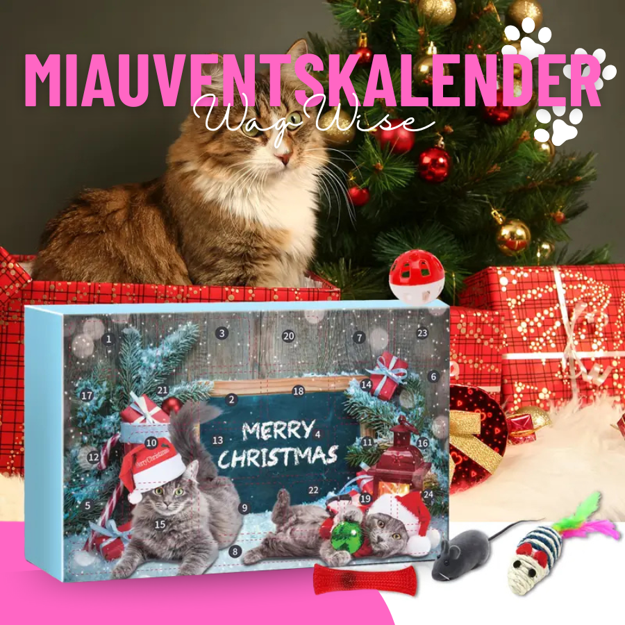 Miauventskalender