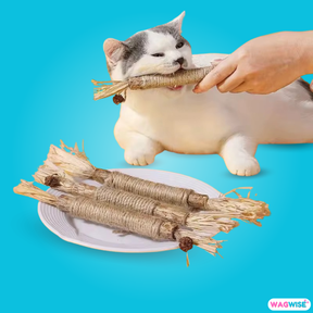 SchnurrSticks - 100% natürliche Matatabi Kausticks