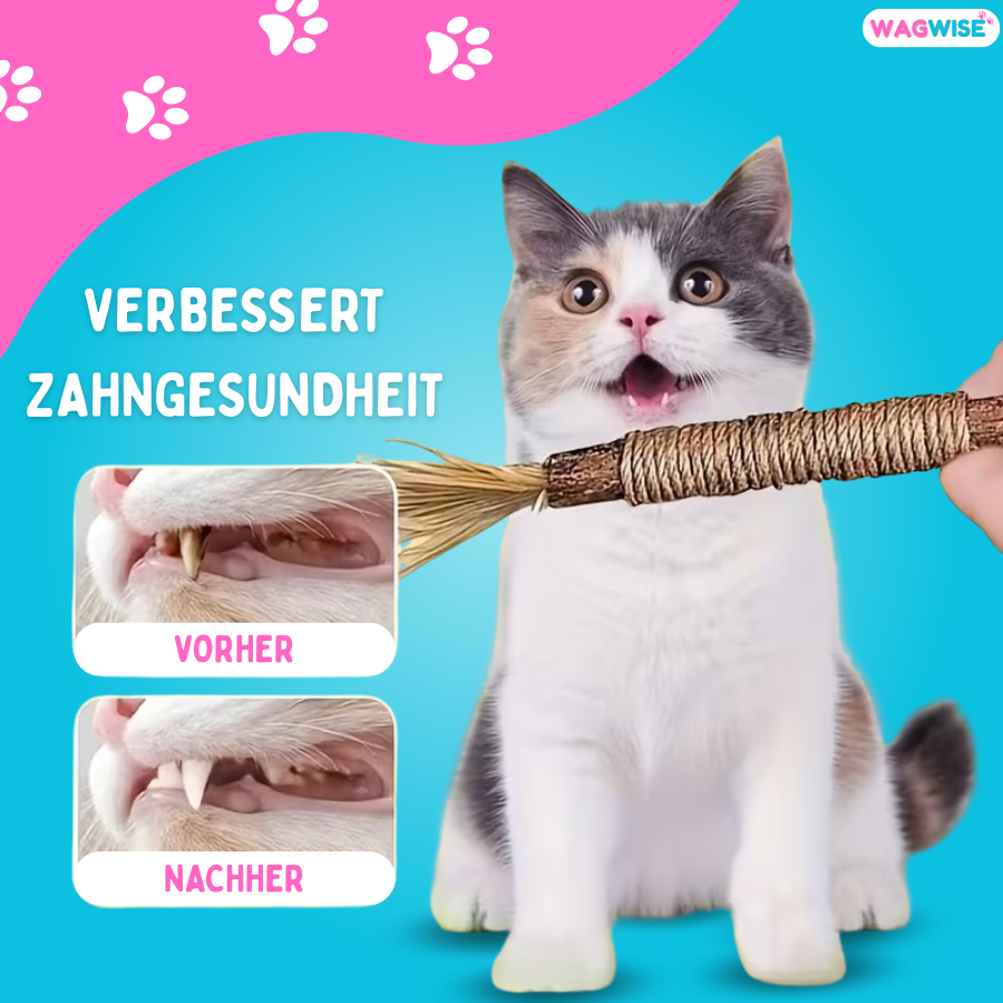 SchnurrSticks - 100% natürliche Matatabi Kausticks