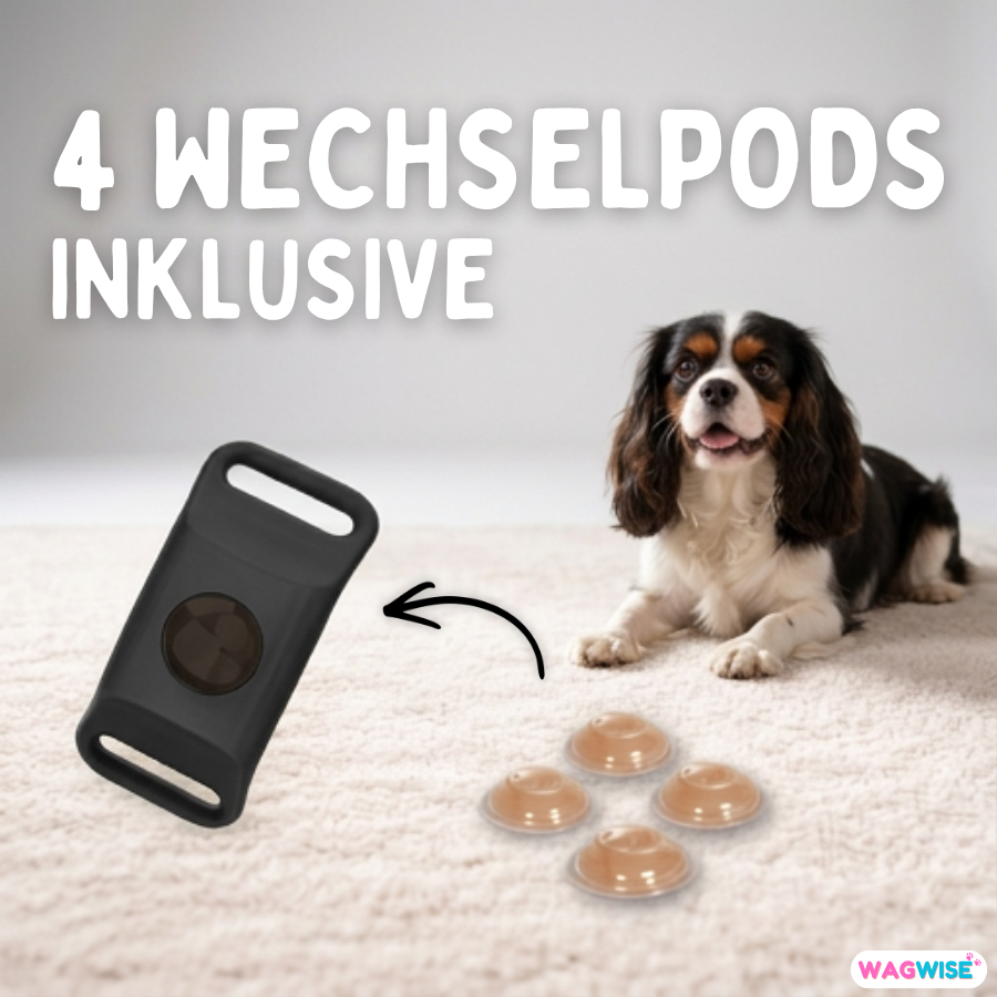 Floh- & Zecken Halsbandschnalle