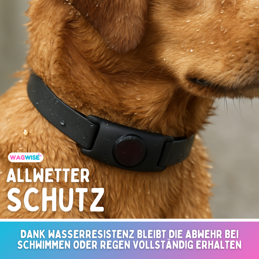 Floh- & Zecken Halsbandschnalle