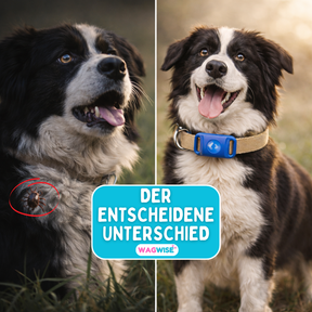 Floh- & Zecken Halsbandschnalle