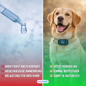 Floh- & Zecken Halsbandschnalle
