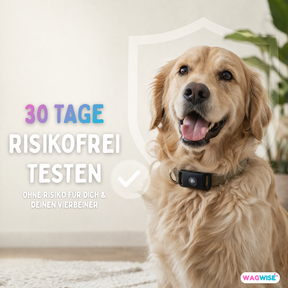 Floh- & Zecken Halsbandschnalle