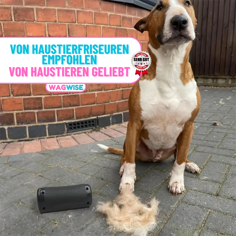 FellMeister - Haustierbürste