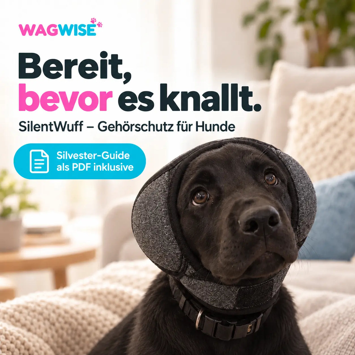 SilentWuff - Schutz bei lauten Geräuschen, Silvester & co.