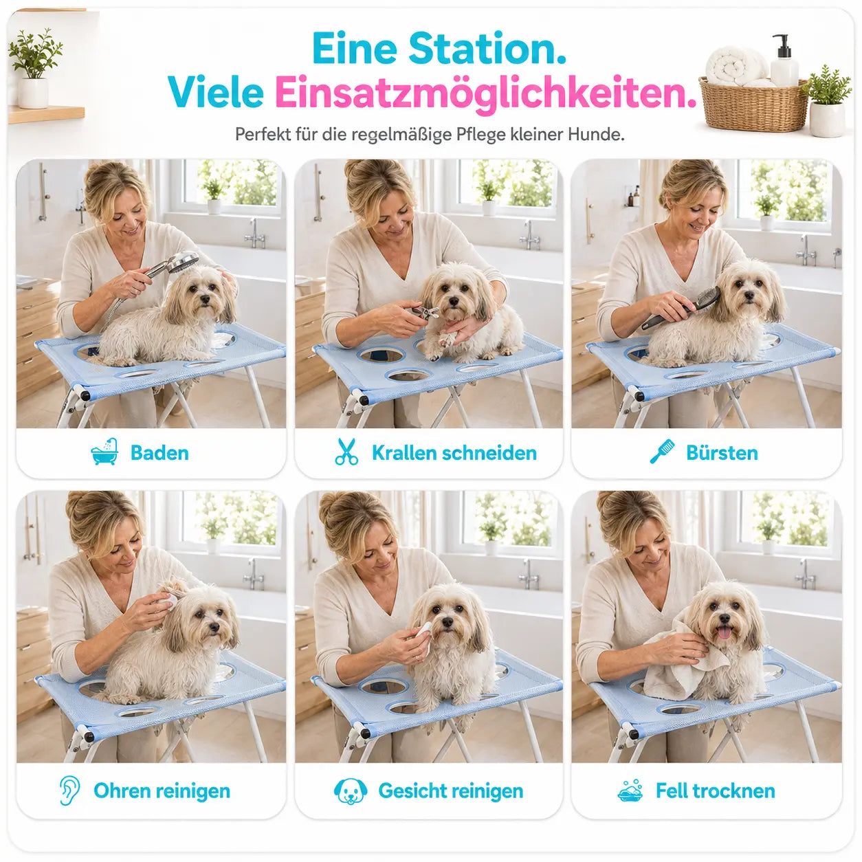 WagWise Pflegestation