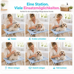 WagWise Pflegestation