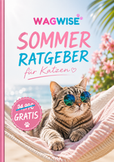 Sommerratgeber für Katzen