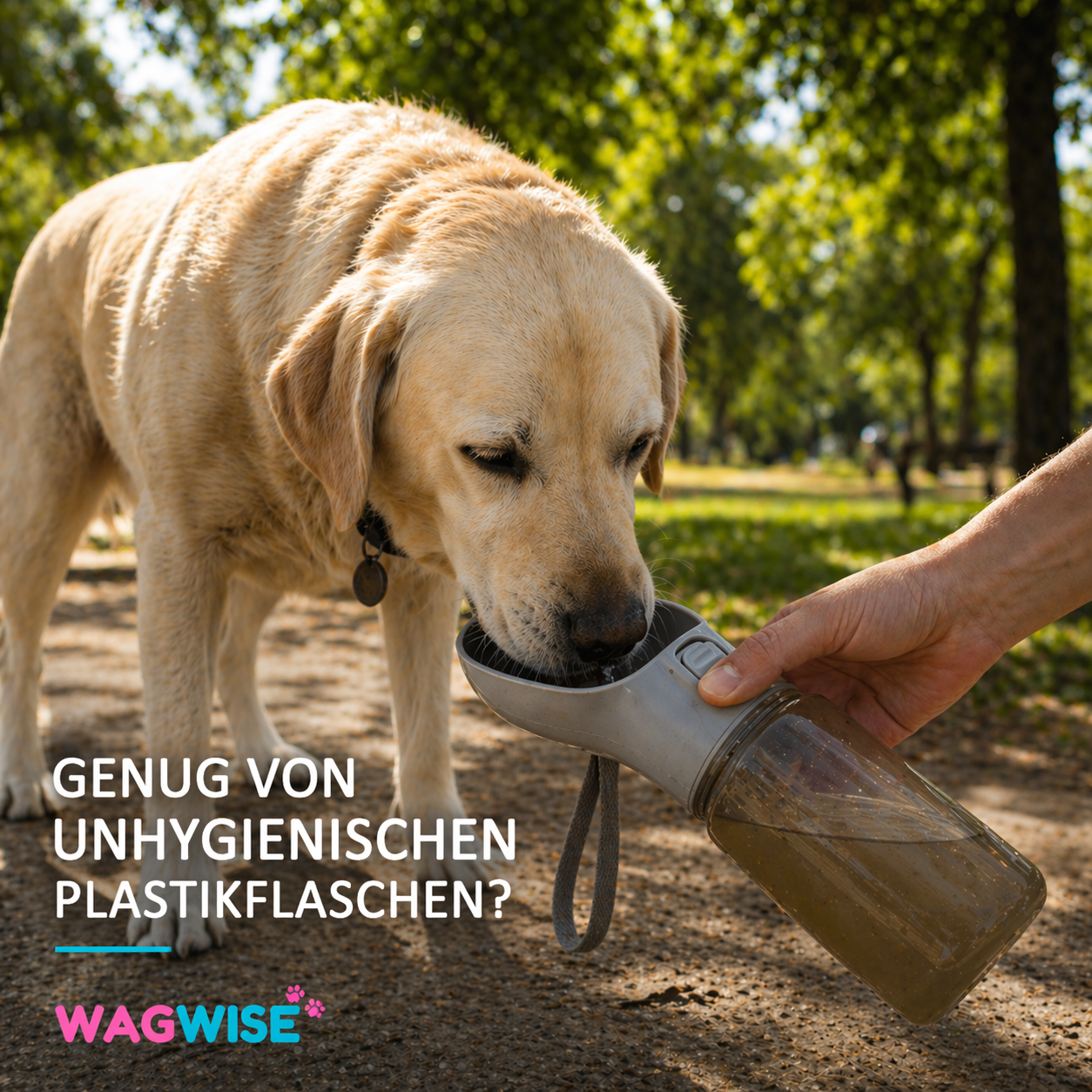 FrischNapf To-Go - Edelstahl-Trinkflasche für Hunde