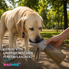 FrischNapf To-Go - Edelstahl-Trinkflasche für Hunde