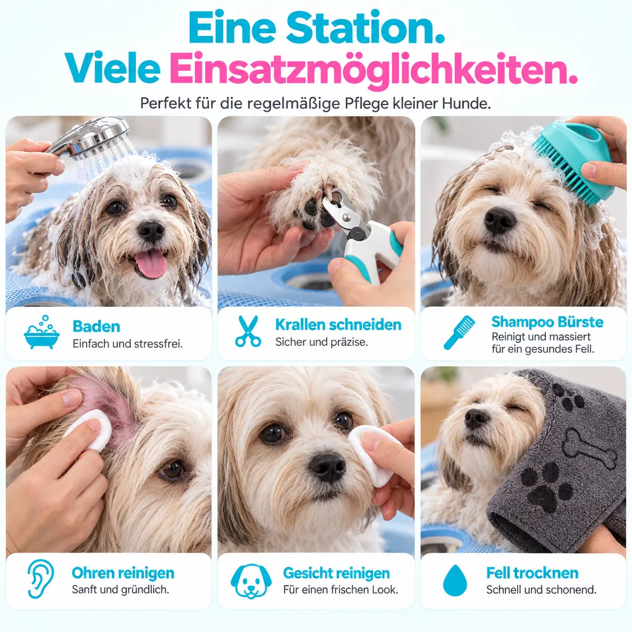 WagWise Pflegestation