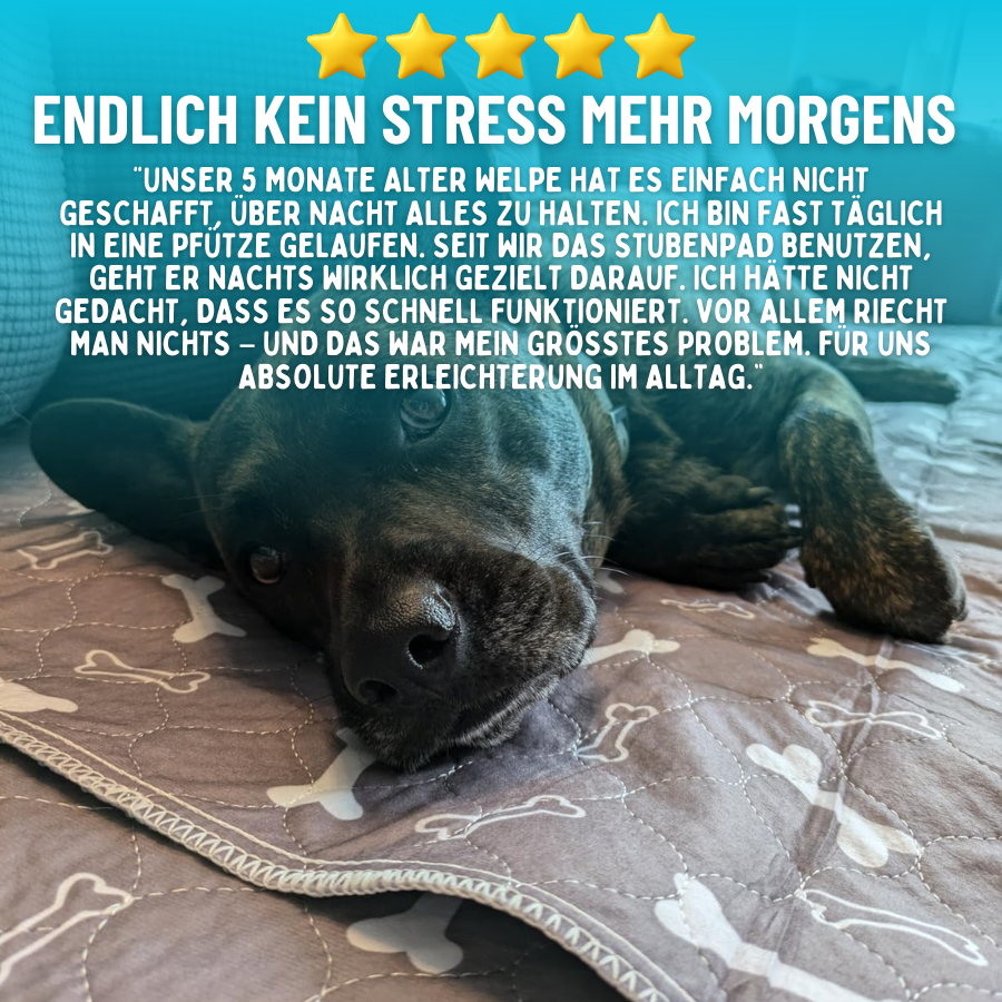 StubenPad - wiederverwendbare Pinkel-Matte für Hunde