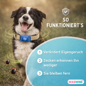 Floh- & Zecken Halsbandschnalle